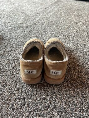 UGG Chestnut Australian Ankle Booties with Shearling Trim